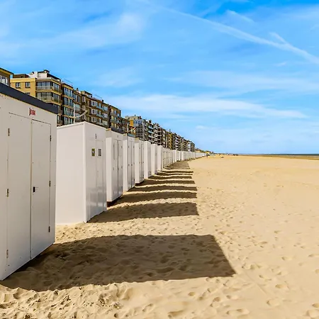 Holiday home Duinroos Ii 27-0301 *